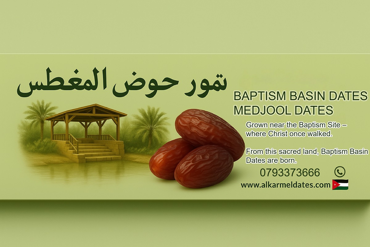 حوض المغطس_1